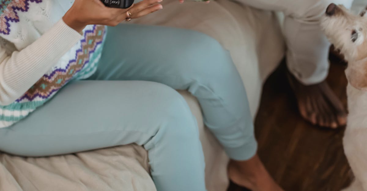 The Importance of High-Quality Dog Food