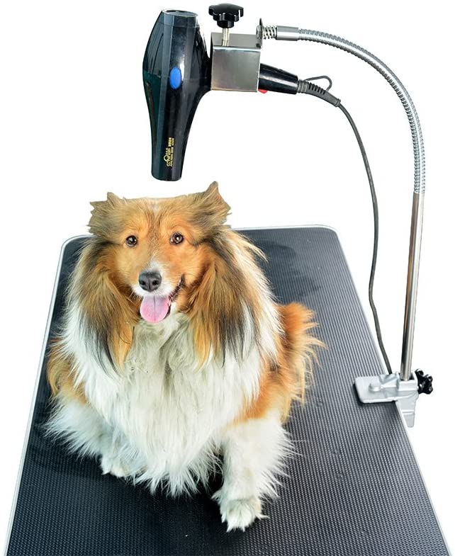 SHELANDY regular Hair Dryer holder with clamp