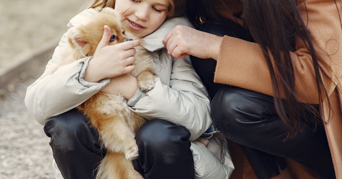 Dog Treats: Healthy Choices for Your Pet