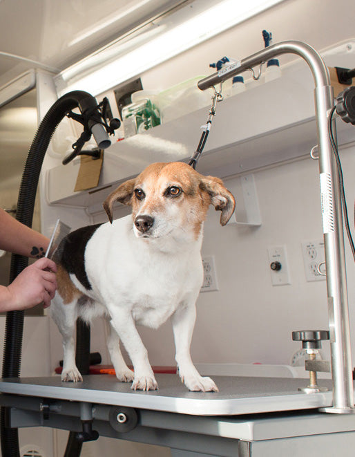 Le meilleur choix pour les utilisateurs à domicile 