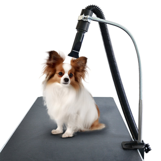 SHELANDY Pet dryer hose holder with clamp