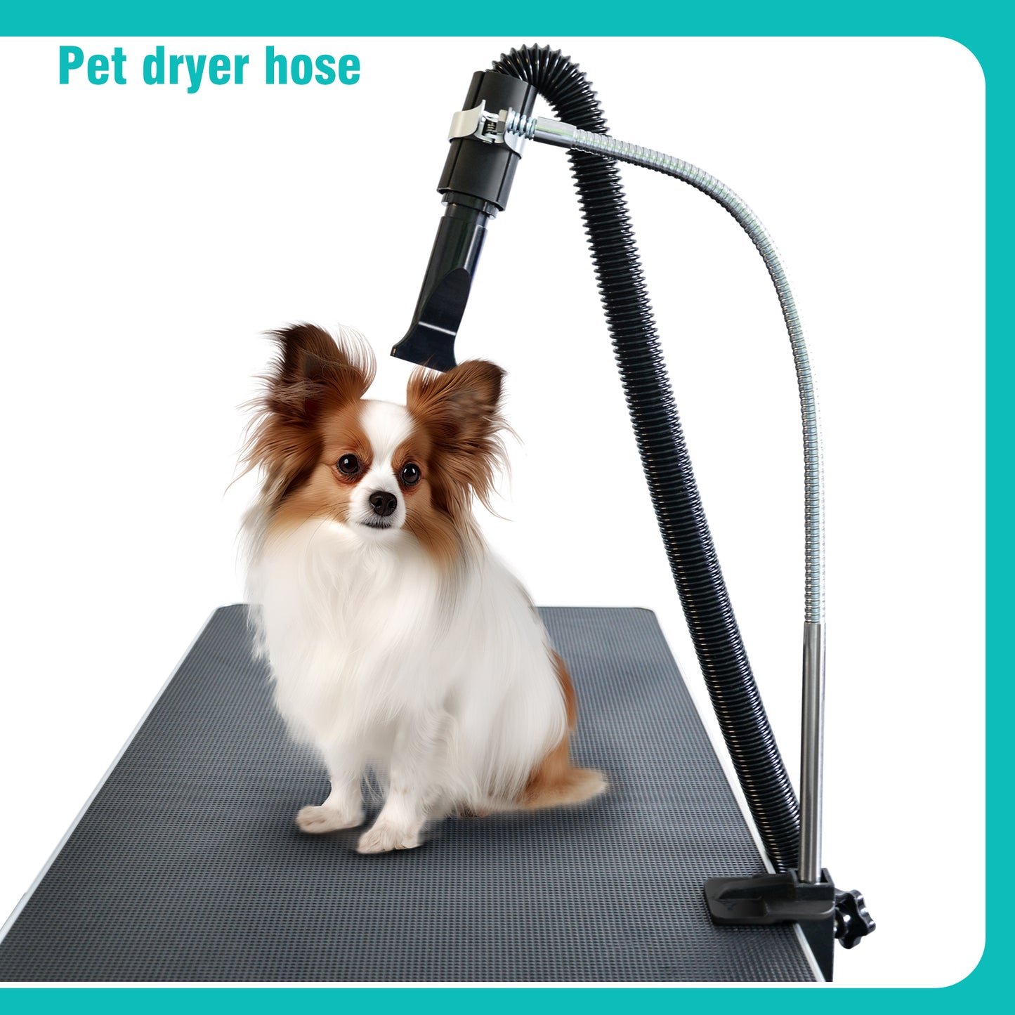 SHELANDY Pet dryer hose holder with clamp