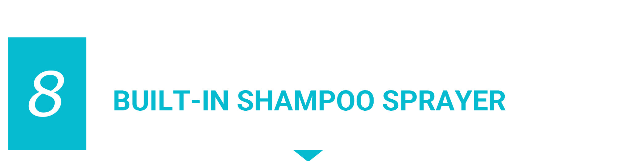 Built-in shampoo sprayer