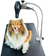 SHELANDY regular Hair Dryer holder with clamp